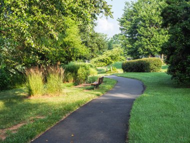 Dolambaçlı bir asfalt yol, yemyeşil bir parkta, huzurlu bir yürüyüş deneyimi sunuyor..