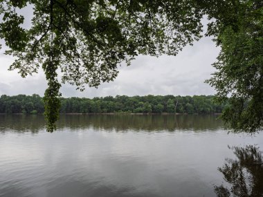 Potomac Nehri 'nin geniş ve sakin yüzeyi bulutlu bir günde yeşil ağaç dalları tarafından çerçevelenir..