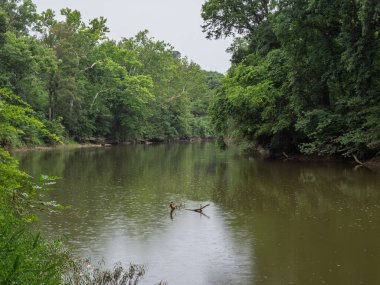Kaz Deresi 'nin huzurlu suları sık bir ormanın içinden akar. Kıyılarını saran yemyeşil ağaçlarla birlikte..