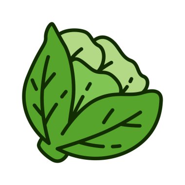 Oyuncu ve modern illüstrasyon tarzında taze lahana sebzesinin renkli simgesi. logo, bilgi, reklam, mobil uygulamalar, UI, web tasarımı ve yazdırma için