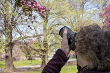 Güneşli bahar gününde çiçek açan ağacın fotoğrafını çeken kadınlar. Fotoğraf makinesi, hobi . 
