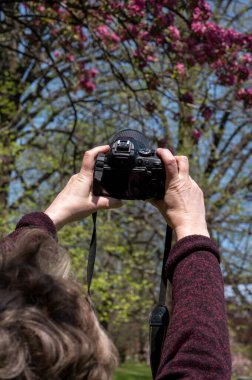 Çiçek açan ağacın fotoğrafını çeken kadınlar. Fotoğraf makineli..