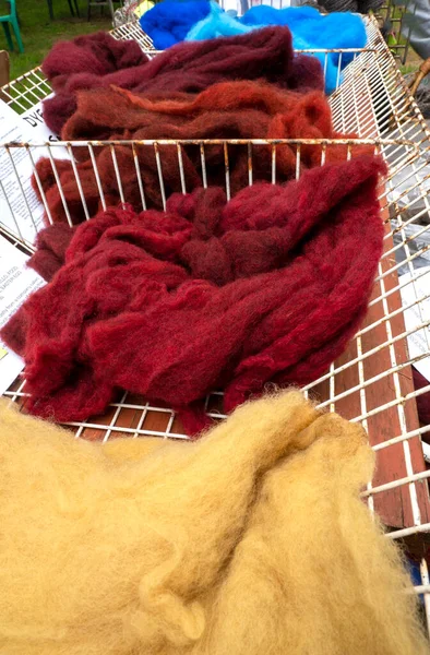 Multi-colored merino wool. Dyed wool .