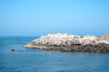 Mavi suyu ve gökyüzü olan deniz taşları, deniz kayaları üzerinde oturan kuşlar.. 