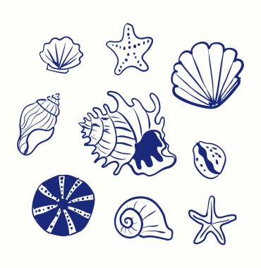 Klasik el yapımı deniz kabuğu ve deniz yıldızı seti. Plaj dekorasyonu, ambalaj, davetiye ve el işi için ideal. Tasarımcılar, zanaatkarlar ve kıyı temalı projeler için mükemmel..