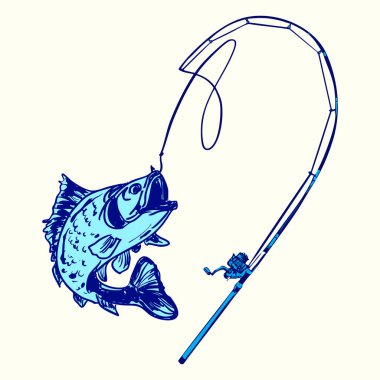 Balık oltasına takılmış levrek balığının mavi vektör çizimi. Balıkçılar, balıkçı kulüpleri, giyim tasarımları ya da yem dükkanları için ideal. Logo veya mal için kullan.