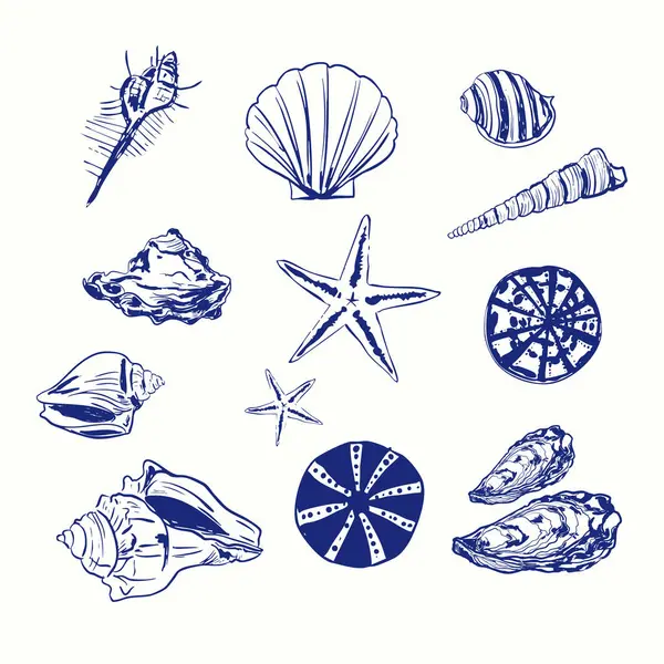 Ayrıntılı deniz kabuğu ve denizyıldızı çizgisi seti. Markalaşma, kırtasiye, duvar sanatı ya da yaz tasarımları için harika. Yaratıcılar, dekoratörler ve ürün tasarımcıları için ideal..