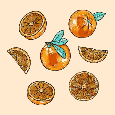 Canlı bir portakal seti. İçinde meyve, dilim ve yapraklı kökler var. Taze ve doğal turunçgiller içeren ambalaj, yemek tarifleri, markalaşma ve mevsimlik tasarımlar için ideal..