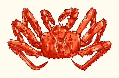 Zengin kırmızı tonlarda canlı kral yengeç resimleri, deniz ürünleri markalaşması, deniz temalı posterler, eğitim malzemeleri, okyanus dekorasyonu veya kıyı tasarımı ve resimleme projeleri için idealdir..