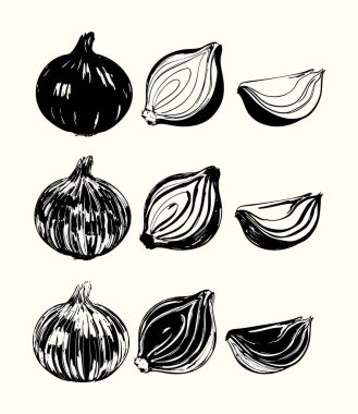 Siyah ve beyaz soğan koleksiyonu. İçinde bütün, yarı yarıya kesilmiş ve dilimlenmiş siyah ve beyaz soğanlar var. Gıda ambalajı, botanik baskılar, mutfak grafikleri ve mutfak dekorasyonu için ideal..