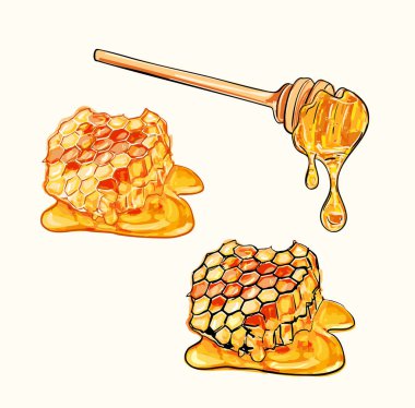 El yapımı bal peteği ve bal damlayan ballı illüstrasyon. Gıda ambalajı, doğal ürün tasarımı, arıcılık grafikleri ve organik markalaşma projeleri için mükemmel..