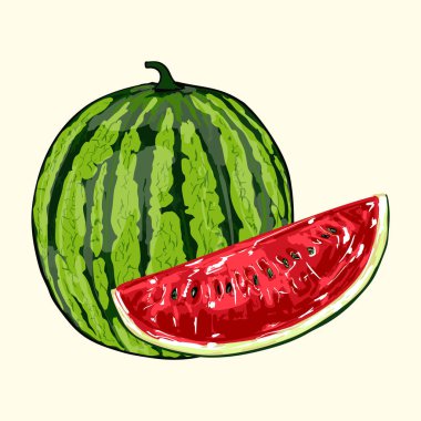 Detaylı karpuz çizimi tüm meyve ve dilimleri gösteriyor. Yaz tasarımları, meyve suyu ambalajı, tarım grafikleri, mutfak dekorasyonu ve taze tropikal temalı yemek sanatları için mükemmel..