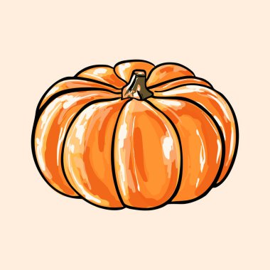 Tüm kabak kırsal çiftlik detaylarıyla izole edilmiş. Sonbahar hasadı, Şükran Günü, Cadılar Bayramı, mevsimsel ürün, gıda ambalajı, mutfak duvarı sanatı ve klasik sebze tasarımı projeleri için ideal..