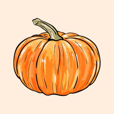 Beyaz arka planda tüm balkabağı resmi izole edilmiş. Sonbahar hasadı, Şükran Günü, Cadılar Bayramı, mevsimsel gıda projeleri, kırsal mutfak sanatı, taze tarım ürünleri ve sebze tasarımları için ideal..