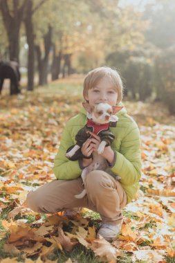 Sonbahar parkında köpekli şirin bir çocuk.