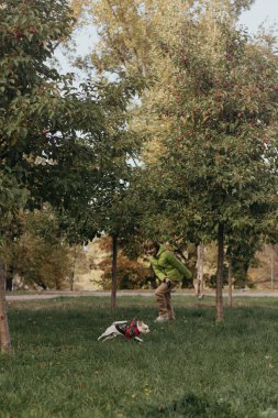 Sonbahar parkında köpeğiyle küçük sevimli bir çocuk.