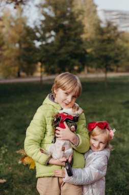 Sonbahar parkında köpeğini tutarken kardeşine sarılan tatlı küçük kız.