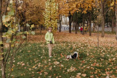 Çocuk parkta köpekle oynuyor.  