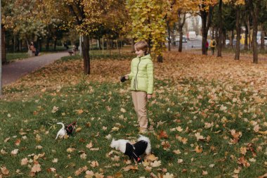 Çocuk parkta köpekle oynuyor.  