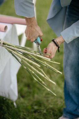 Kapalı - düğün buketi için çiçek kesen kadın elleri.