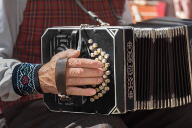 Adam oynarken bandoneon, geleneksel tango enstrüman, Arjantin. Görünümü Kapat.