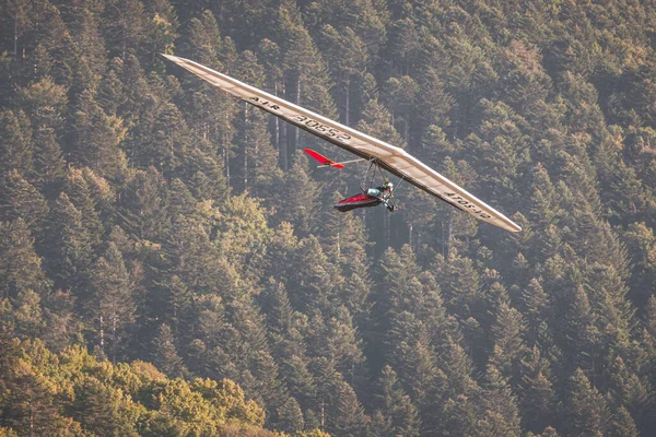 Gliding Forest Mont Saleve Haute Savoie France — Stock Photo, Image
