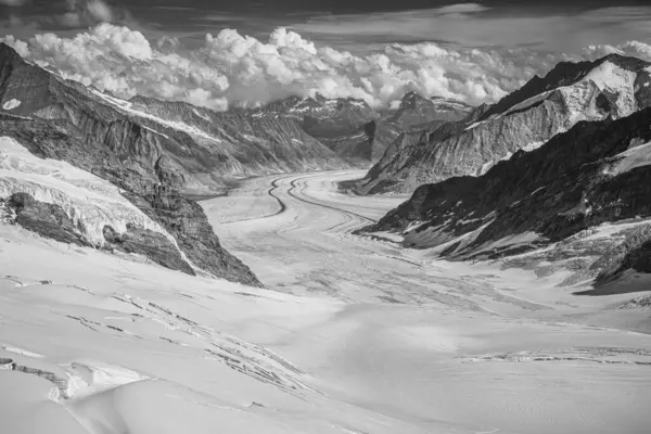 Aletsch buzulu manzaralı Jungfrau 'da bir yaz.