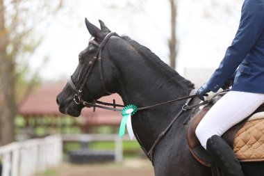 Bilinmeyen bir rakip, yazın açık havada at biniyor. Atlayan at ödül kazanmış kurdele takıyor. Binicilik sporları geçmişi