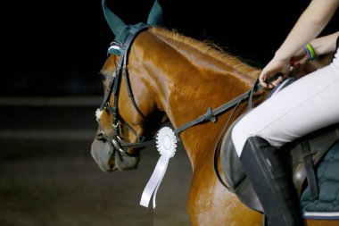 Bilinmeyen bir rakip, yazın açık havada at biniyor. Atlayan at ödül kazanmış kurdele takıyor. Binicilik sporları geçmişi