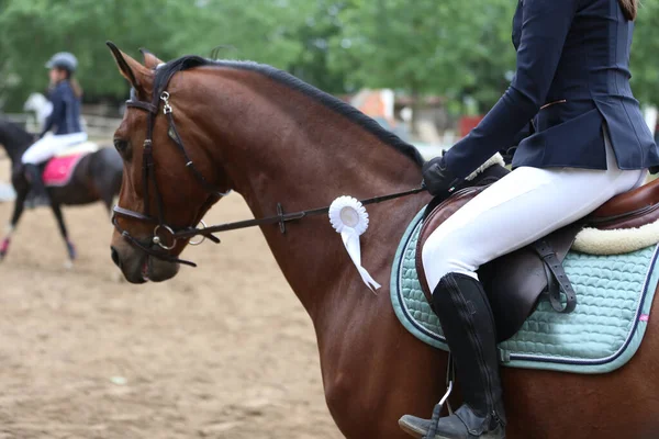 Desconocido Competidor Montar Caballo Deportivo Evento Equitación Verano Aire Libre — Foto de Stock