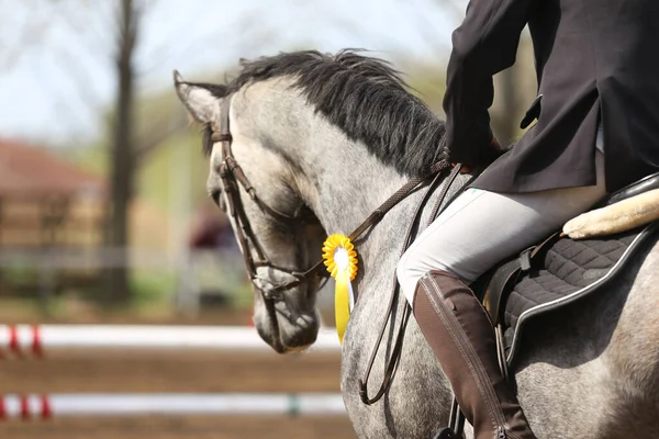 知られていない競合他社は 屋外の夏の方程式イベントでスポーツ馬に乗っています 受賞歴のあるリボンを着てジャンパー馬を表示します 馬術競技の背景 — ストック写真