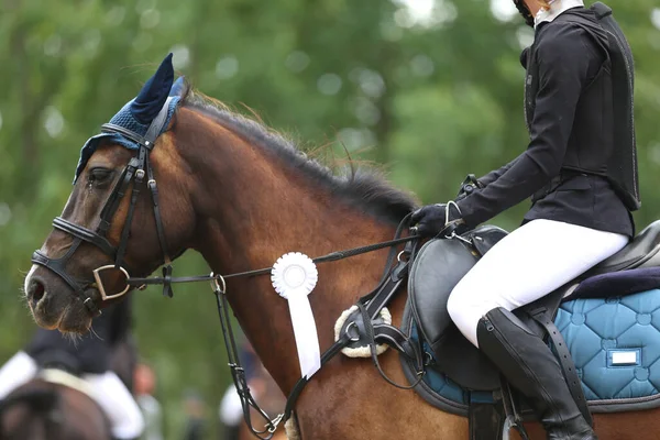 Okänd Tävlande Rida Sport Häst Equitation Händelse Sommaren Utomhus Visa — Stockfoto