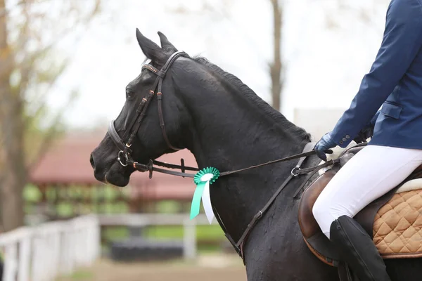 Competidor Desconhecido Montar Cavalo Esporte Evento Equitação Verão Livre Mostrar — Fotografia de Stock