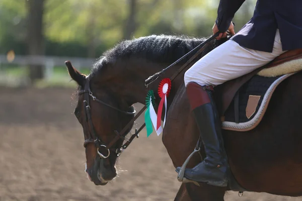 Nieznany Zawodnik Jeździ Sportowym Koniu Wyścigach Konnych Lecie Świeżym Powietrzu — Zdjęcie stockowe