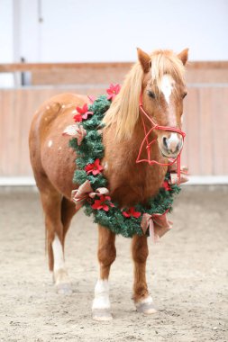 Duygusal bir arkaplan olarak güzel bir çelenk takan bir atın eşsiz resmi.