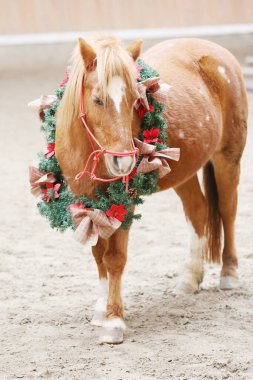 Duygusal bir arkaplan olarak güzel bir çelenk takan bir atın eşsiz resmi.
