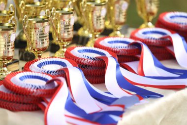 Pile of horse sport trophies rosettes at equestrian event at summertime outdoors
