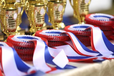 Pile of horse sport trophies rosettes at equestrian event at summertime outdoors