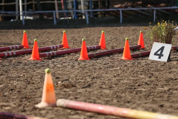 Obstacles Buoys Sand Empty Equestrian Center — Stock Photo, Image