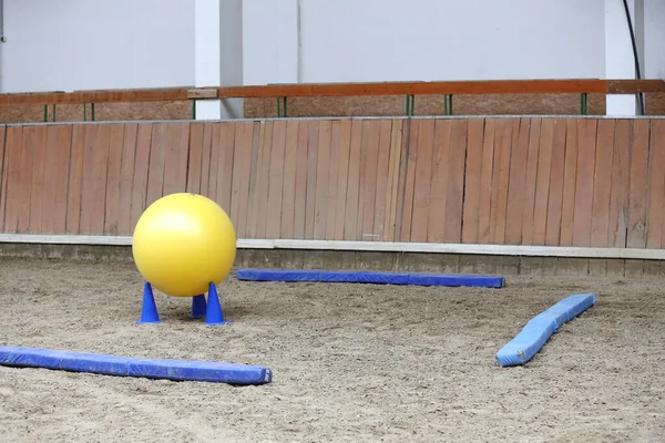 Plastik Physioball Sand Beim Training Für Anfänger Und Pferde Der — Stockfoto