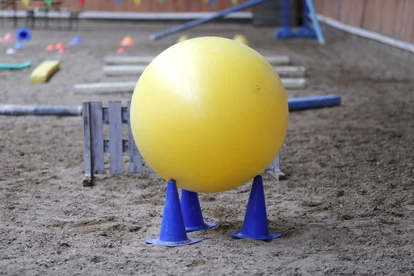 Plastik Physioball Sand Beim Training Für Anfänger Und Pferde Der — Stockfoto