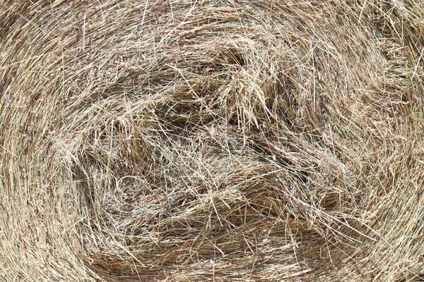 Bale Strawrolls Stacked Straw Bales Animal Farm Farmyard Storage Concept — Stock Photo, Image