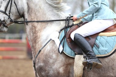 Bir gösteri atlamacısının eyerinde, kazananlar yarışmasında kazananın bir rostoyla birlikte bir binici oturuyor. Binicilik sporları ve zafer. Ata binmek. Binicilik arkaplanı.