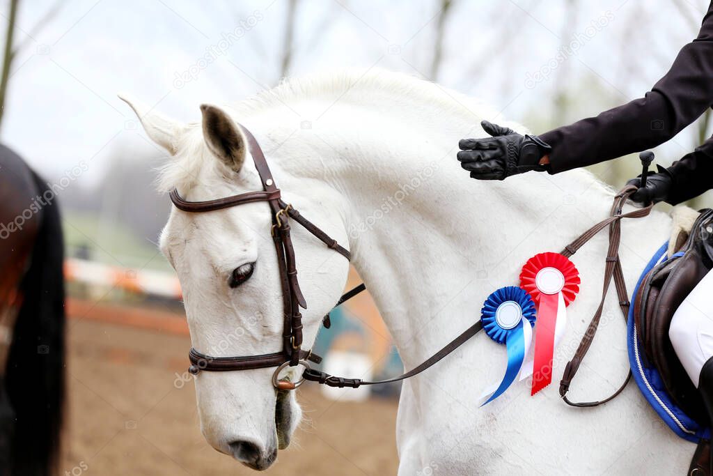 On a show jumper horse in the saddle sits a rider with a rosette of the