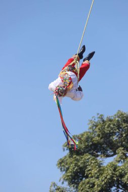 El Tajin, İspanyol öncesi şehir, Meksiko - Şubat 02, 2024. Voladores de Papantla Flyers, 2 Şubat 2024 'te El Tajin Veracruz Meksika' da Tanrılar için antik totonaca ayini gerçekleştiriyor.