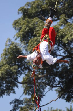 El Tajin, İspanyol öncesi şehir, Meksiko - Şubat 02, 2024. Voladores de Papantla Flyers, 2 Şubat 2024 'te El Tajin Veracruz Meksika' da Tanrılar için antik totonaca ayini gerçekleştiriyor.