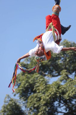 El Tajin, İspanyol öncesi şehir, Meksiko - Şubat 02, 2024. Voladores de Papantla Flyers, 2 Şubat 2024 'te El Tajin Veracruz Meksika' da Tanrılar için antik totonaca ayini gerçekleştiriyor.