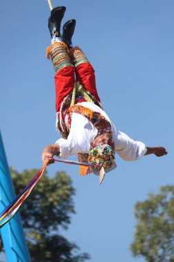 El Tajin, İspanyol öncesi şehir, Meksiko - Şubat 02, 2024. Voladores de Papantla Flyers, 2 Şubat 2024 'te El Tajin Veracruz Meksika' da Tanrılar için antik totonaca ayini gerçekleştiriyor.