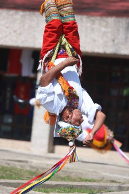 El Tajin, İspanyol öncesi şehir, Meksiko - Şubat 02, 2024. Voladores de Papantla Flyers, 2 Şubat 2024 'te El Tajin Veracruz Meksika' da Tanrılar için antik totonaca ayini gerçekleştiriyor.