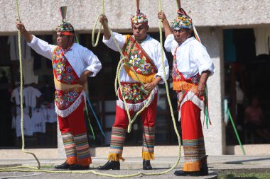 El Tajin, İspanyol öncesi şehir, Meksiko - Şubat 02, 2024. Voladores de Papantla Flyers, 2 Şubat 2024 'te El Tajin Veracruz Meksika' da Tanrılar için antik totonaca ayini gerçekleştiriyor.